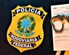 Homem é preso com mandado de prisão por roubo e organização criminosa, em São Sebastião