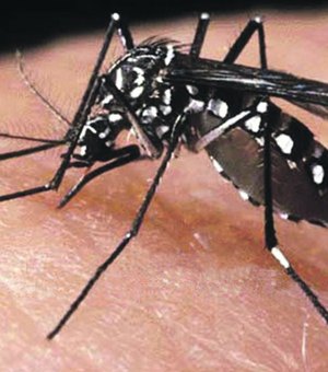 Maceió registra 2635 casos de dengue, aponta Secretaria de Saúde