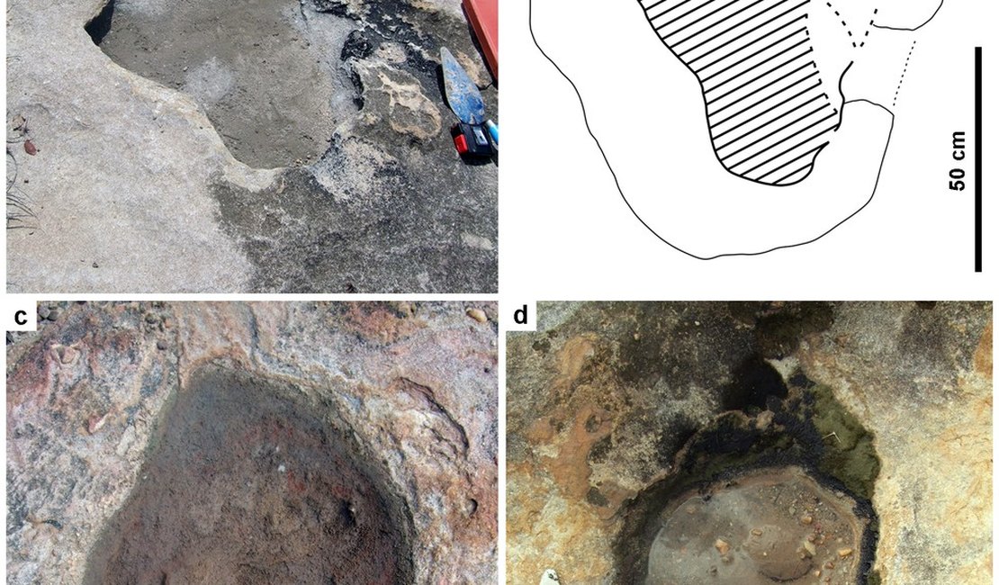 Entenda como pegadas de dinossauros encontradas no RN ficaram preservadas