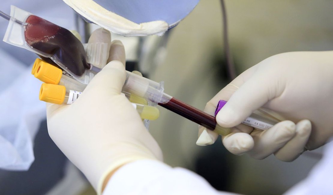 Varíola dos macacos: Anvisa faz recomendações sobre doação de sangue
