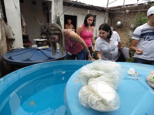 Prefeitura e Defesa Civil realizam mutirão contra o Aedes Aegipty