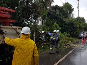 Queda de coqueiro deixa bairros de Maceió sem energia elétrica