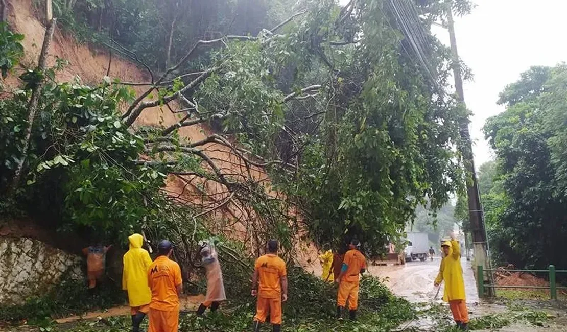 Deslizamento em Angra dos Reis após chuva deixa 11 vítimas sob os escombros, dizem bombeiros