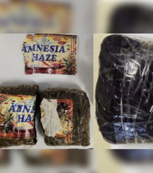 Polícia Federal intercepta droga enviada pelos Correios para endereço em Maceió