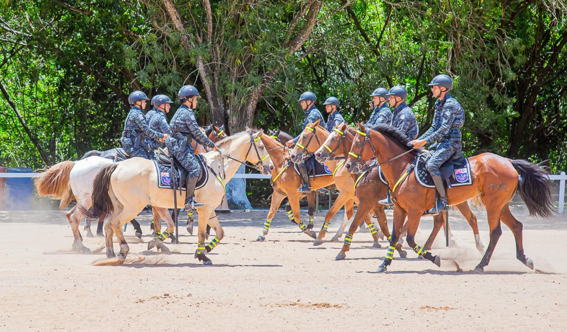 PM forma 10 militares no Curso de Policiamento Montado