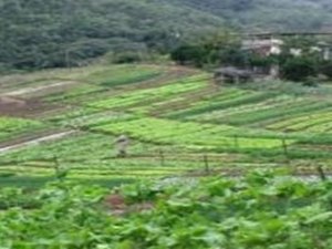 Governo sanciona lei que facilita vida do agricultor alagoano