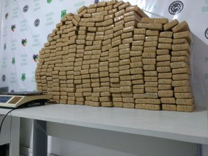 Polícias de Alagoas e Sergipe apreendem mais de 200 quilos de maconha prensada