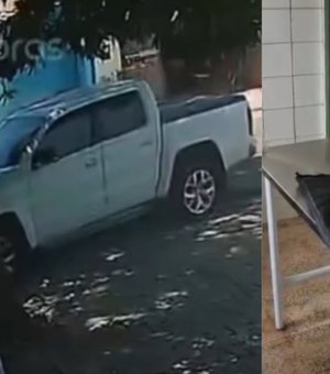 Cachorrinha fica paraplégica após ser atropelada por motorista de Hilux no Feitosa; suspeito foi identificado