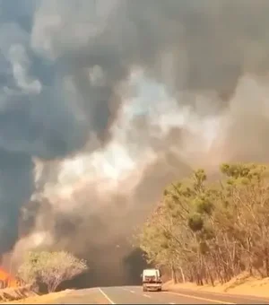 Mais de 80% dos focos de calor em SP estão em áreas de agropecuária