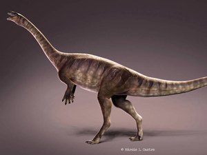 Mais antigo dinossauro pescoçudo é brasileiro, dizem pesquisadores