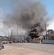 Protesto fecha trecho da AL-110 após morte de mulher atropelada em Arapiraca