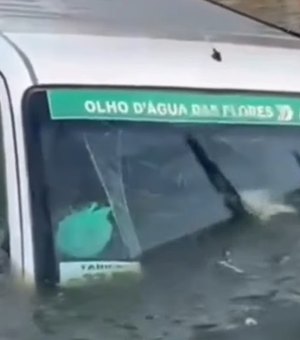 [Vídeo] Após colisão com carro, van vai parar em açude na AL-220