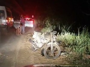 Colisão entre motocicleta e animal deixa uma pessoa ferida na AL-101, em Maragogi