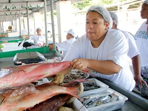 Tradicional Feira do Peixe Vivo gera renda e oferece qualidade dos produtos