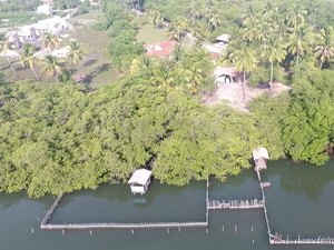 Recinto do peixe-boi em Porto de Pedras é desativado após morte de dois animais