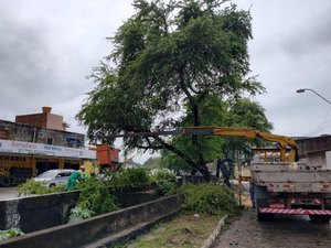 Sudes amplia serviços de limpeza e desassoreamento de canais