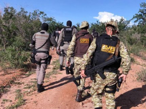 Criminosos trocam tiros com a polícia em plantação de maconha