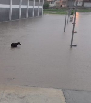 Água acumulada das chuvas inundam ruas e cemitério no Agreste