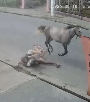 Casal cai de cavalo durante trajeto em alta velocidade em Arapiraca