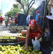 MST realiza 19ª Feira da Reforma Agrária em Maceió