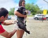 Mutirão de vacinação antirrábica acontece sábado (27), em Arapiraca