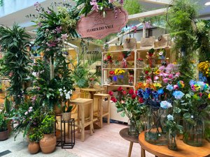 [Vídeo] Mercado de flores cresce em Alagoas e movimenta pequenos negócios