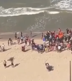 Criança de 11 anos é mordida por tubarão em praia de Pernambuco
