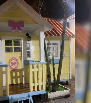 Servidor constrói casa de boneca gigante para filhas após ver tutoriais na web, em Goiânia
