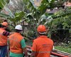 Saiba o que muda na rotina da Defesa Civil quando termina o período chuvoso
