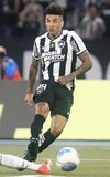 Botafogo, Palmeiras ou Fortaleza? Veja as chances de título do Brasileirão