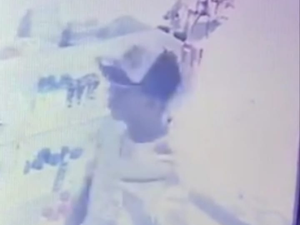 [Vídeo] Farmácia é assaltada no bairro Primavera