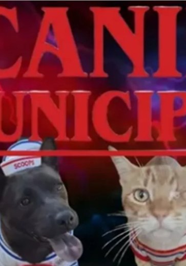 Canil aposta em Stranger Things para nomear animais e promover adoção
