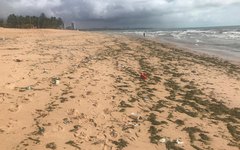 Imagens foram capturadas na manhã de hoje, na praia da Jatiuca