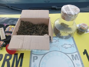 Policiais do 13º BPM prendem mulher suspeita de tráfico de drogas