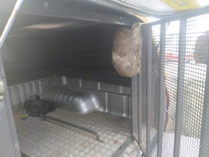 Policia Militar de Messias resgata Bicho-preguiça; animal seria transportado para o abate