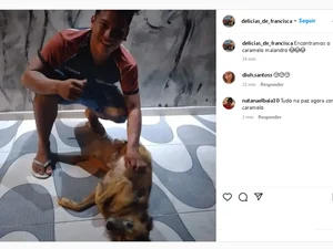 Vídeo: vira-lata caramelo rouba marmita de entregador no Pará