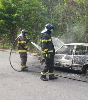 Carro fica totalmente destruído após pegar fogo na BR-104, em Messias