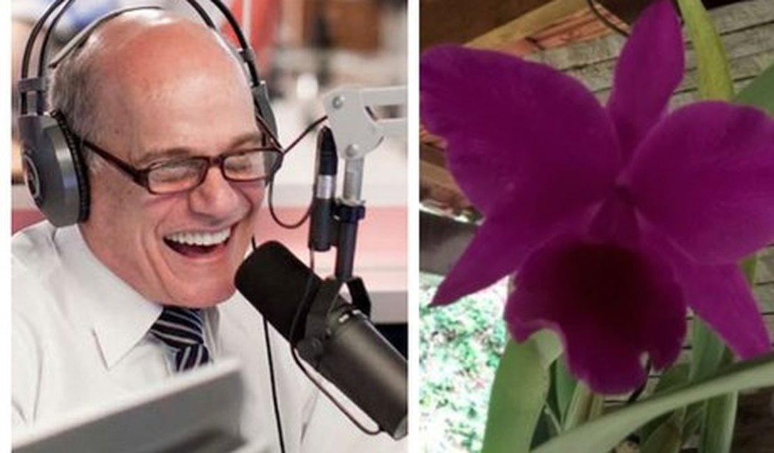 Admirador de Boechat registrou orquídea com o nome do jornalista