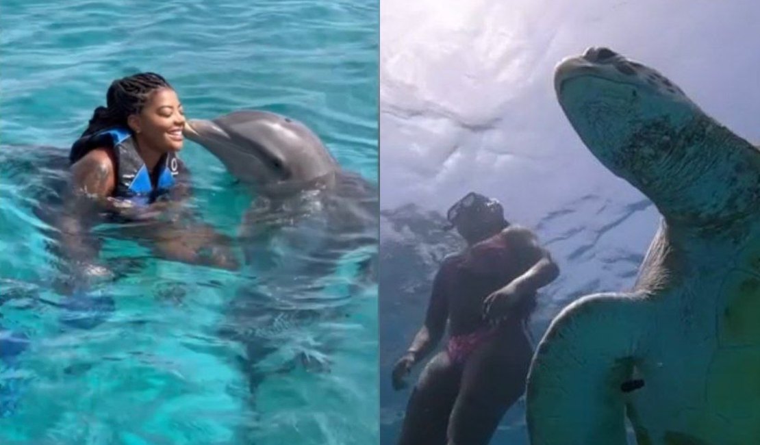 Ludmilla nada com golfinhos e tartarugas em Curaçao