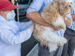 Campanha de vacinação antirrábica inicia no sábado (11) em Maceió; confira os locais