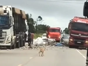 Caminhoneiro perde o controle da direção ao tentar evitar acidente em São Sebastião