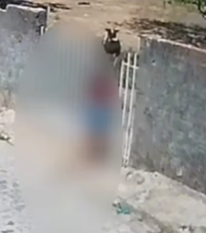 Cadela é resgatada com pata fraturada após caso de maus-tratos em Maceió