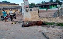 Colisão entre carro e carroça deixa uma pessoa morta em rodovia de Arapiraca