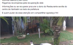 O comerciante Gustavo Henrique Almeida registrou um boletim de ocorrência e pede ajuda para recuperar o animal