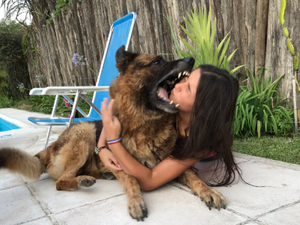 Argentina tenta tirar foto com cão, é mordida no rosto e mostra 'resultado'