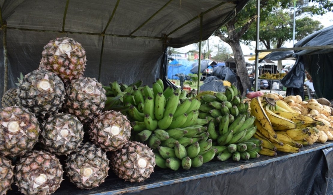 Feira da Agricultura Familiar é uma das atrações no Festival da Primavera