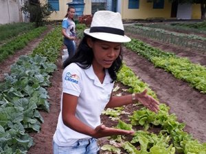 Projeto de hortas de ex-aluna da Uneal faz sucesso em São José da Tapera