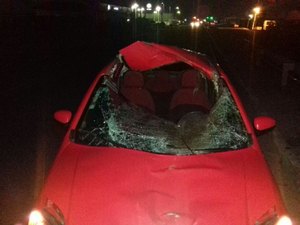 Animal na rodovia provoca acidente, em Arapiraca