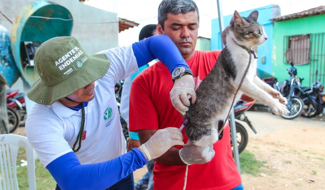 Arapiraca dará início à vacinação antirrábica para cães e gatos na próxima segunda (10)