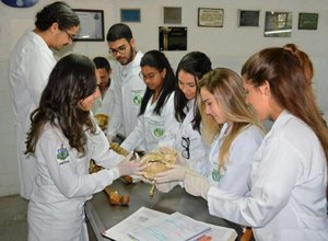 Vestibular Uncisal 2019 oferta 50% das vagas para alunos da rede pública